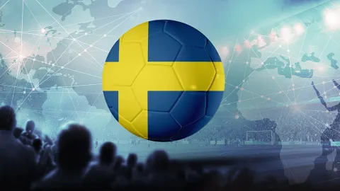 Sweden National Football Team