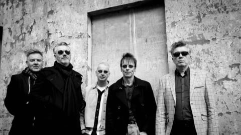 The Undertones