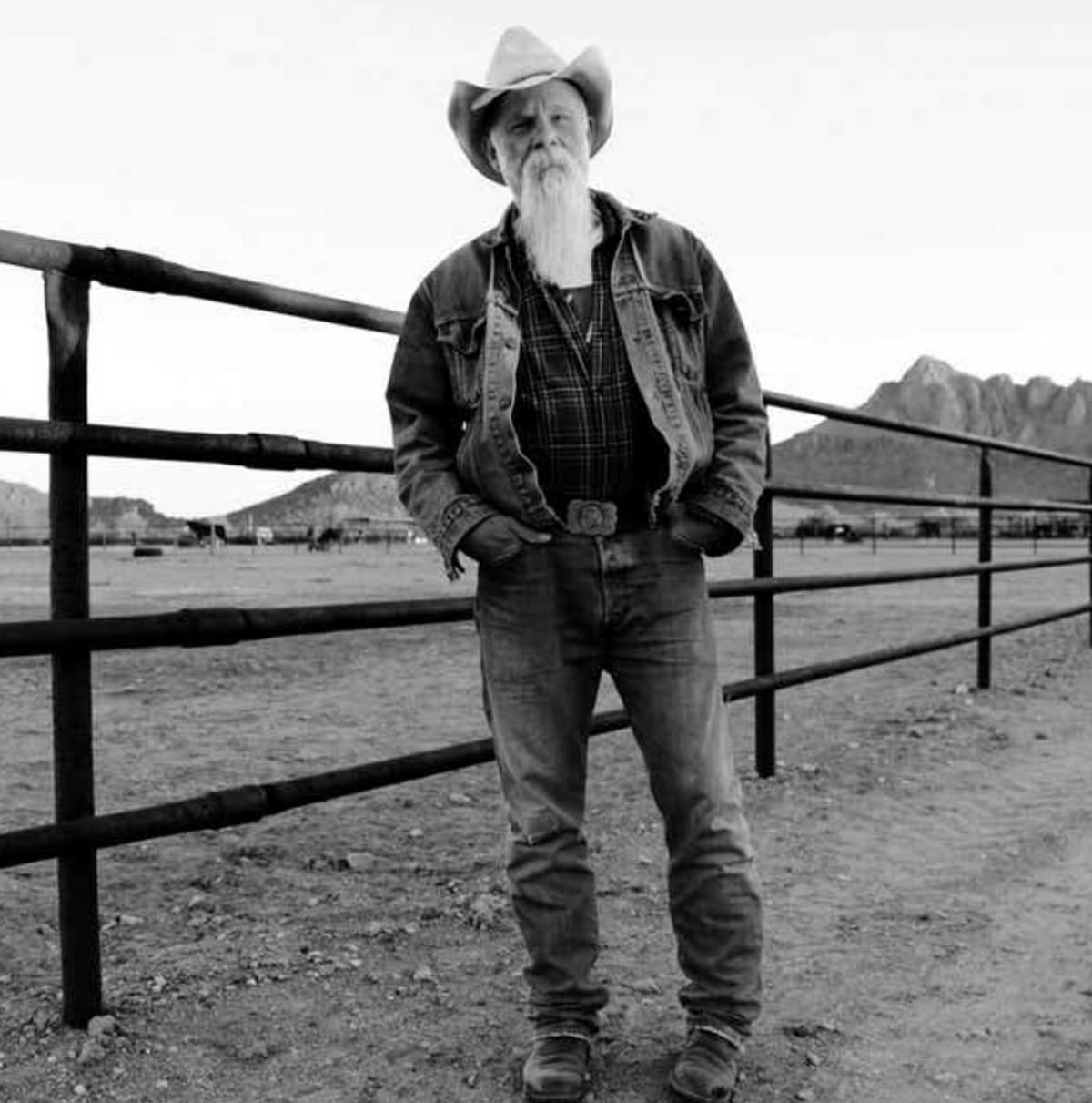 Seasick Steve